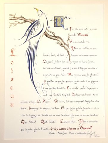 L'Oiseau 